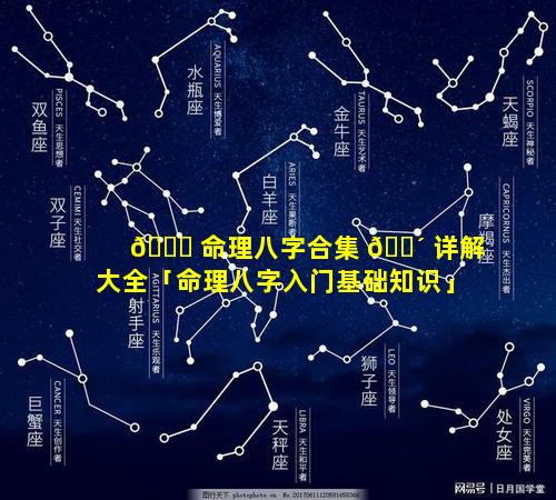 🐘 命理八字合集 🐴 详解大全「命理八字入门基础知识」